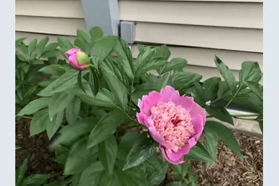 810 5th Street W, Hastings, MN 55033 - Photo 32