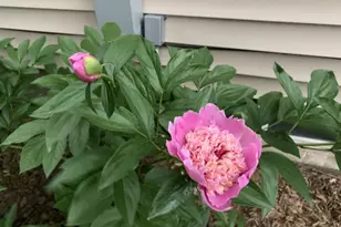 810 5th St W, Hastings, MN 55033 - Photo 32