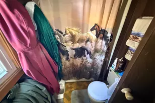 19367 680th St, Dodge Center, MN 55927 - Photo 8