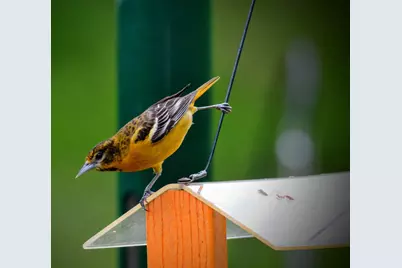 3710 60th Avenue SW, Rochester, MN 55902 - Photo 12