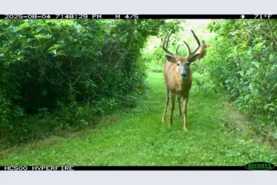 3710 60th Avenue SW, Rochester, MN 55902 - Photo 10