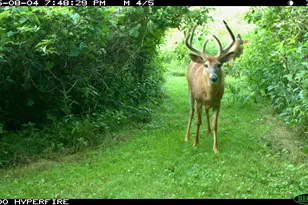 3710 60th Ave SW, Rochester, MN 55902 - Photo 10