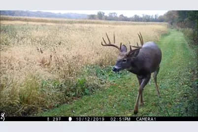 3710 60th Avenue SW, Rochester, MN 55902 - Photo 14