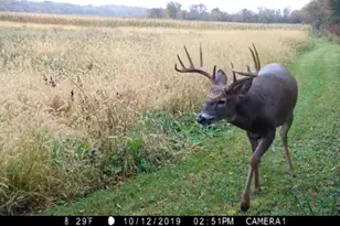 3710 60th Ave SW, Rochester, MN 55902 - Photo 14