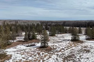 8640 State Hwy 11 SE, Baudette, MN 56623 - Photo 52