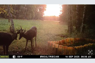 8640 State Highway 11 SE, Baudette, MN 56623 - Photo 42