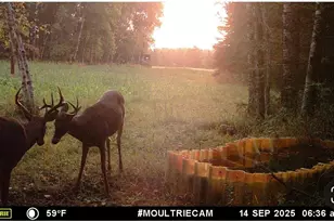 8640 State Hwy 11 SE, Baudette, MN 56623 - Photo 42