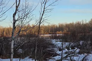 Tbd Hwy 47, Isle, MN 56342 - Photo 1