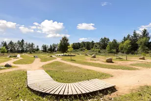 411 Dorland Pl, Maplewood, MN 55119 - Photo 68