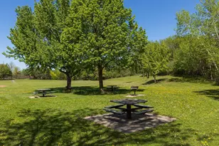 411 Dorland Pl, Maplewood, MN 55119 - Photo 32