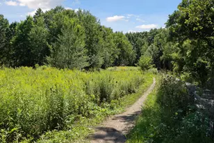 411 Dorland Pl, Maplewood, MN 55119 - Photo 78