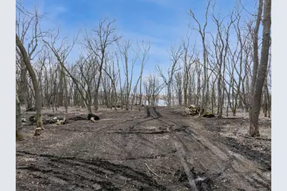 11115 350th Avenue, Farwell, MN 56327 - Photo 8