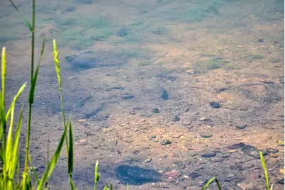 1992 80th Street, Somerset, WI 54025 - Photo 6