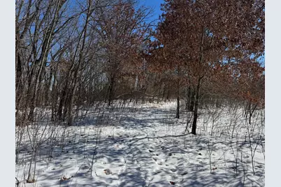 Tbd-17.64Ac 313th Avenue NW, Cambridge, MN 55008 - Photo 24