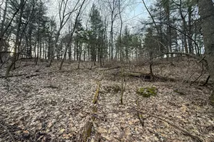 11719 Ridgeview Rd, Hokah, MN 55941 - Photo 66