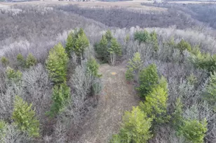 11719 Ridgeview Rd, Hokah, MN 55941 - Photo 50