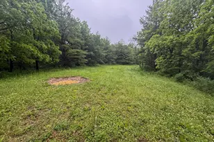 11719 Ridgeview Rd, Hokah, MN 55941 - Photo 60