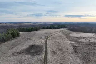 11719 Ridgeview Rd, Hokah, MN 55941 - Photo 54