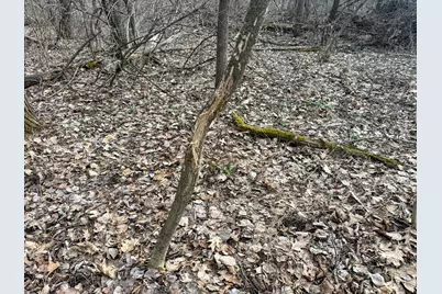 11719 Ridgeview Road, Hokah, MN 55941 - Photo 78