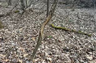 11719 Ridgeview Rd, Hokah, MN 55941 - Photo 78