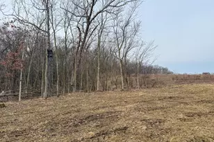 11719 Ridgeview Rd, Hokah, MN 55941 - Photo 88