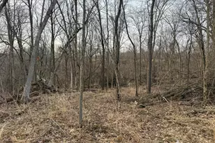 11719 Ridgeview Rd, Hokah, MN 55941 - Photo 84