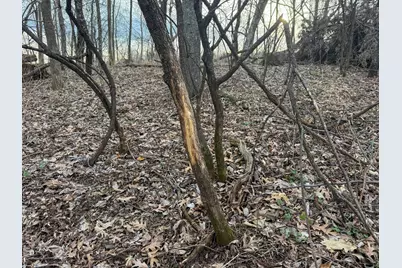 11719 Ridgeview Road, Hokah, MN 55941 - Photo 68