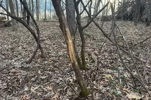 11719 Ridgeview Rd, Hokah, MN 55941 - Photo 68