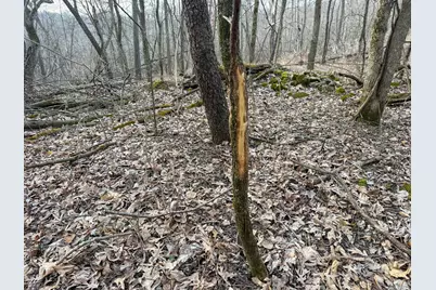 11719 Ridgeview Road, Hokah, MN 55941 - Photo 80