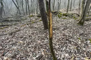 11719 Ridgeview Rd, Hokah, MN 55941 - Photo 80