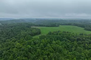 11719 Ridgeview Rd, Hokah, MN 55941 - Photo 72