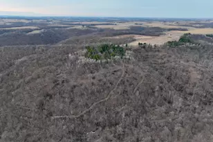 11719 Ridgeview Rd, Hokah, MN 55941 - Photo 48