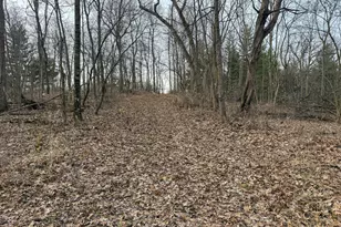 11719 Ridgeview Rd, Hokah, MN 55941 - Photo 70