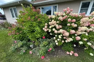 524 Irving Ave SW, Wadena, MN 56482 - Photo 4