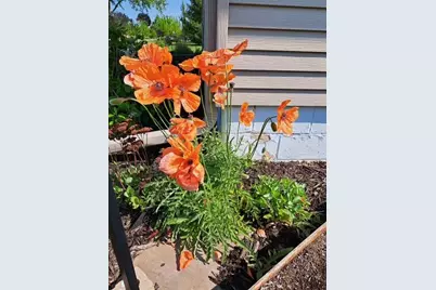 524 Irving Avenue SW, Wadena, MN 56482 - Photo 6