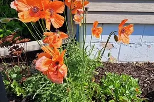 524 Irving Ave SW, Wadena, MN 56482 - Photo 6