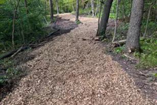 000 Tiger Street NW, Princeton, MN 55371 - Photo 44