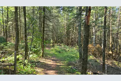 Tbd 33 Donovan Point, Orr, MN 55771 - Photo 40