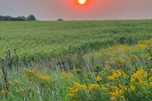 2454 Sand Stone Pl, Woodbury, MN 55129 - Photo 44