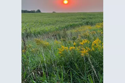 2454 Sandstone Place, Woodbury, MN 55129 - Photo 4