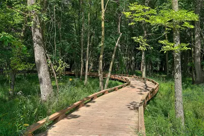 6569 Wolfberry Curve, Minnetrista, MN 55331 - Photo 22