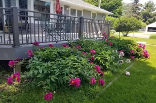 1914 Holton St, Roseville, MN 55113 - Photo 46