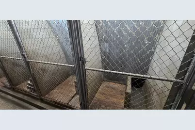 157 70th Street N, Glyndon, MN 56547 - Photo 84