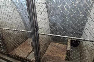 157 70 St N, Glyndon, MN 56547 - Photo 84