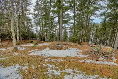10894 Bessette Road, Orr, MN 55771 - Photo 16