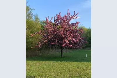 11537 118th Avenue, Tilden Twp, WI 54729 - Photo 64