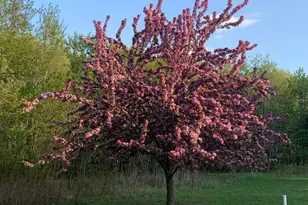 11537 118th Ave, Tilden Twp, WI 54729 - Photo 64