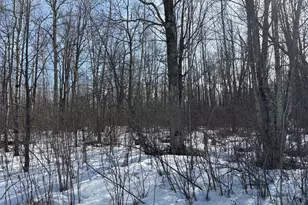 Tbd Erickson Rd, Kettle River, MN 55757 - Photo 1