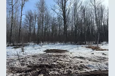 Tbd Erickson Road, Kettle River, MN 55757 - Photo 2