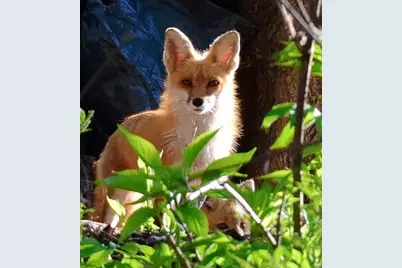 6466 Stillwater Boulevard N, Oakdale, MN 55128 - Photo 54